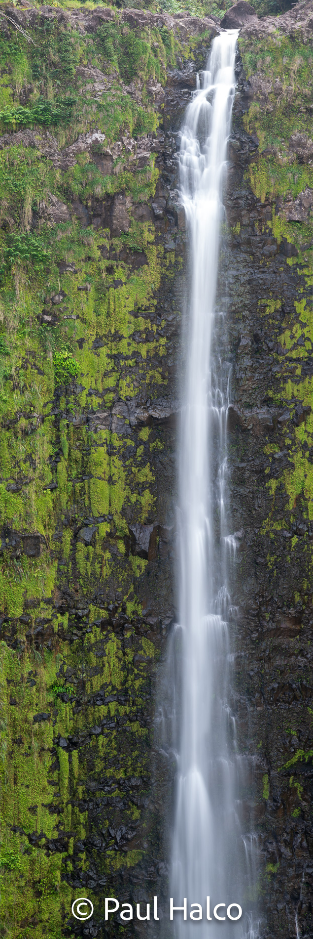 Paul Halco - Hawaii-12